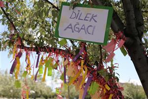 Beş Gün Süren Şenlikler Tamamlandı